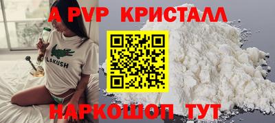 спиды Будённовск